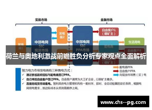 荷兰与奥地利激战前瞻胜负分析专家观点全面解析
