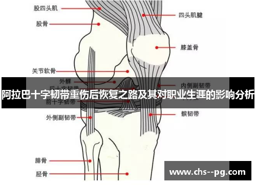 阿拉巴十字韧带重伤后恢复之路及其对职业生涯的影响分析